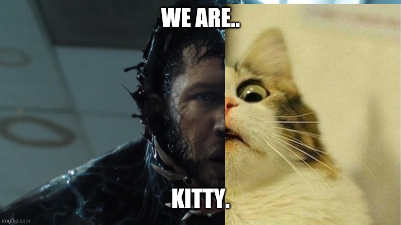 So i asked my sister what my personality is..i am kitty. | WE ARE.. KITTY. | image tagged in we are venom | made w/ Imgflip meme maker