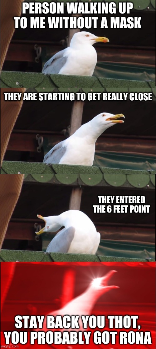 RONA virus :3 | PERSON WALKING UP TO ME WITHOUT A MASK; THEY ARE STARTING TO GET REALLY CLOSE; THEY ENTERED THE 6 FEET POINT; STAY BACK YOU THOT, YOU PROBABLY GOT RONA | image tagged in memes,inhaling seagull,coronavirus | made w/ Imgflip meme maker