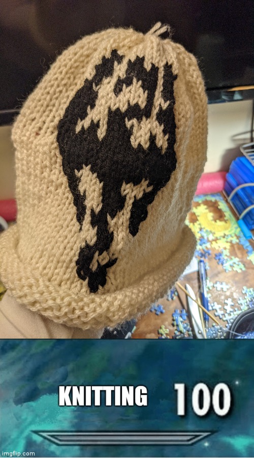 Knitting 100 | image tagged in skyrim,knitting | made w/ Imgflip meme maker