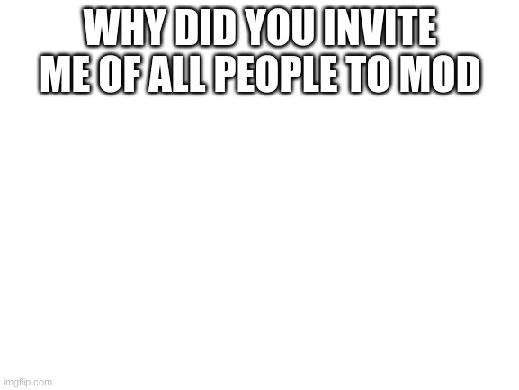 Blank White Template | WHY DID YOU INVITE ME OF ALL PEOPLE TO MOD | image tagged in blank white template | made w/ Imgflip meme maker