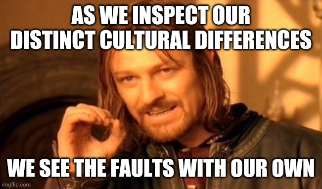 Diversity is dilution is delusion. | AS WE INSPECT OUR DISTINCT CULTURAL DIFFERENCES; WE SEE THE FAULTS WITH OUR OWN | image tagged in memes,one does not simply,diversity | made w/ Imgflip meme maker