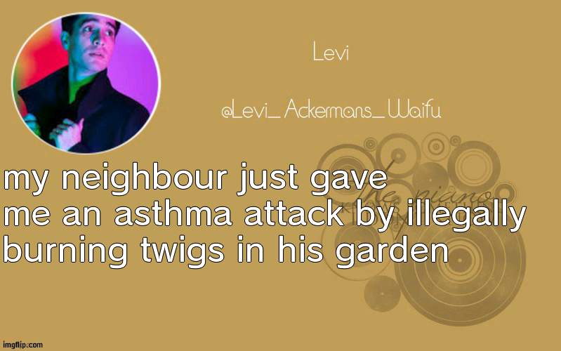 temp 19 | my neighbour just gave me an asthma attack by illegally burning twigs in his garden | image tagged in temp 19 | made w/ Imgflip meme maker