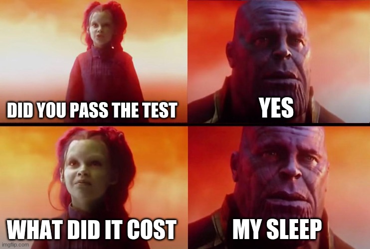 thanos what did it cost | DID YOU PASS THE TEST; YES; WHAT DID IT COST; MY SLEEP | image tagged in thanos what did it cost | made w/ Imgflip meme maker