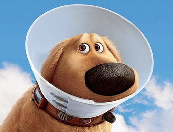 High Quality Dug Blank Meme Template