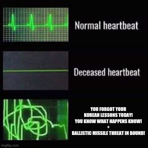 heartbeat rate | YOU FORGOT YOUR KOREAN LESSONS TODAY! YOU KNOW WHAT HAPPENS KNOW!
+
BALLISTIC MISSILE THREAT IN BOUND! | image tagged in heartbeat rate | made w/ Imgflip meme maker