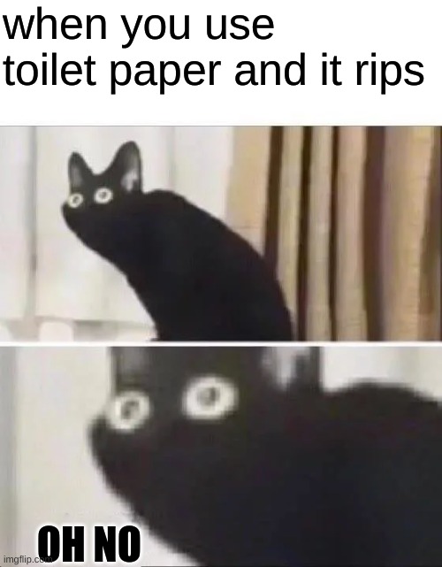 especially after that triple layer bean dip | when you use toilet paper and it rips; OH NO | image tagged in oh no black cat | made w/ Imgflip meme maker