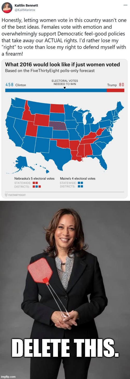 Sexist troll of the day: Kaitlin Bennett | DELETE THIS. | image tagged in kamala harris flyswatter | made w/ Imgflip meme maker