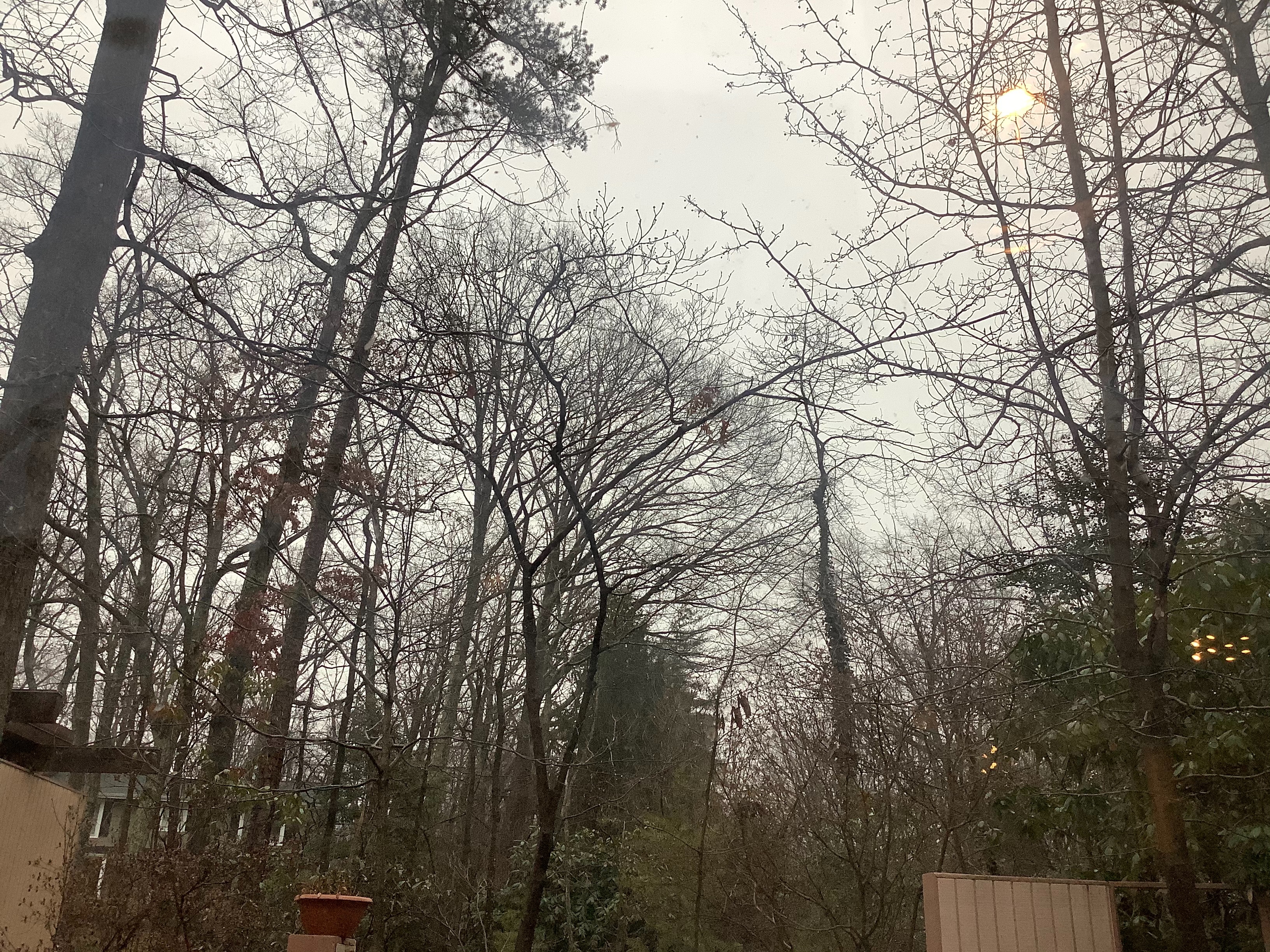 The sky is very gloomy | image tagged in virginia | made w/ Imgflip meme maker