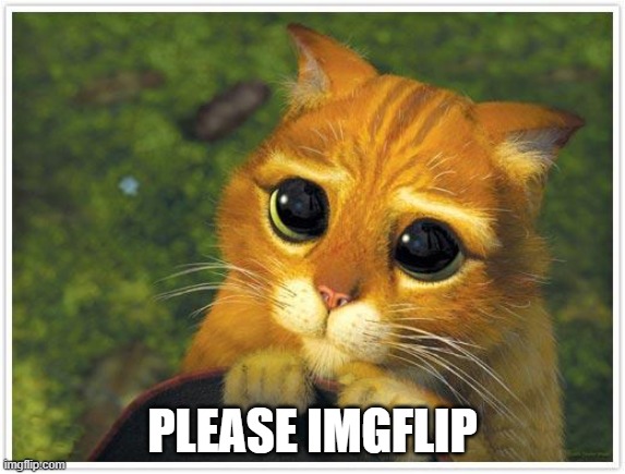 Shrek Cat Meme | PLEASE IMGFLIP | image tagged in memes,shrek cat | made w/ Imgflip meme maker