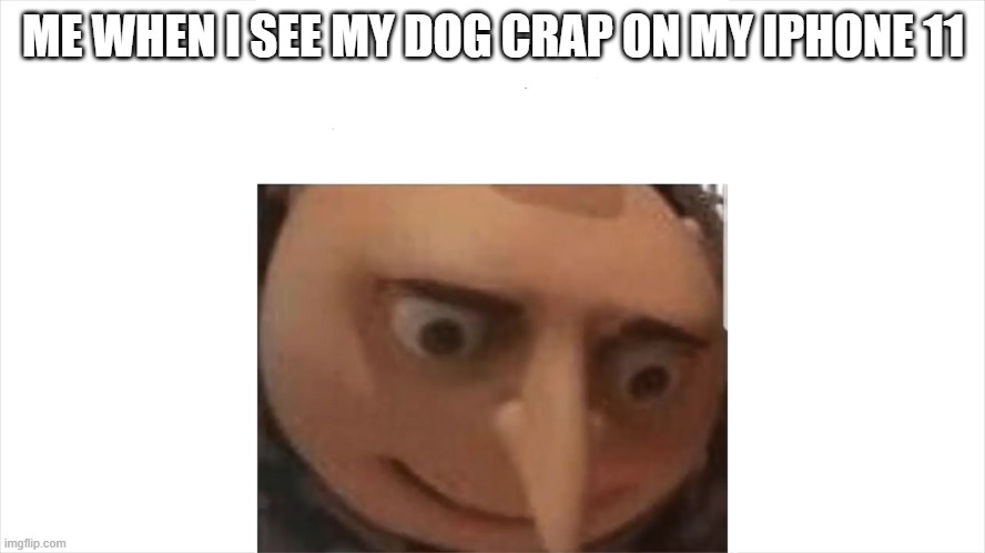 Depressed gru | ME WHEN I SEE MY DOG CRAP ON MY IPHONE 11 | image tagged in depressed gru | made w/ Imgflip meme maker