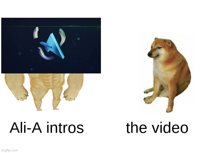 ali-a be like | Ali-A intros; the video | image tagged in memes,buff doge vs cheems | made w/ Imgflip meme maker