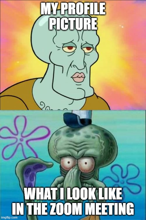Squidward Meme | MY PROFILE PICTURE; WHAT I LOOK LIKE IN THE ZOOM MEETING | image tagged in memes,squidward | made w/ Imgflip meme maker