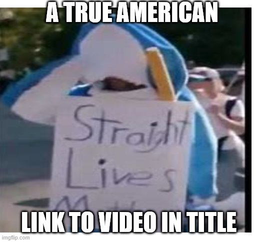 https://www.bing.com/videos/search?q=straigh+lives+matter+shark&docid=608045650459233496&mid=654116AB07FC230649A6654116AB07FC230 | A TRUE AMERICAN; LINK TO VIDEO IN TITLE | image tagged in shark,funny,memes | made w/ Imgflip meme maker