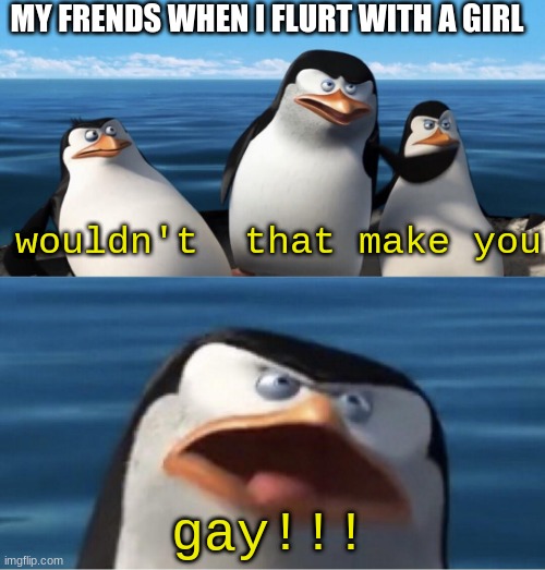 inspired by clumsy | MY FRENDS WHEN I FLURT WITH A GIRL; wouldn't  that make you; gay!!! | image tagged in wouldn't that make you | made w/ Imgflip meme maker