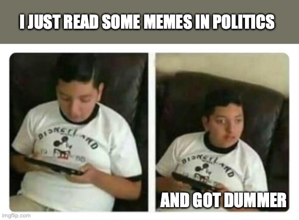 Fat Surprised Kid | I JUST READ SOME MEMES IN POLITICS; AND GOT DUMMER | image tagged in fat surprised kid | made w/ Imgflip meme maker
