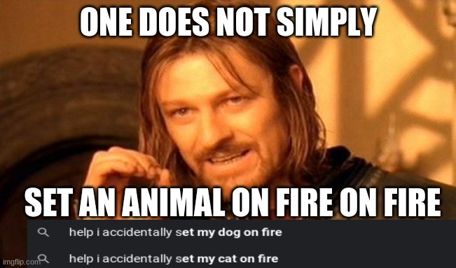 wait how do you acidentally set a dog on fire | ONE DOES NOT SIMPLY; SET AN ANIMAL ON FIRE ON FIRE | image tagged in memes,one does not simply | made w/ Imgflip meme maker