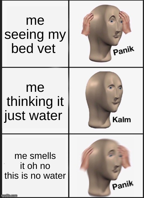 Panik Kalm Panik | me seeing my bed vet; me thinking it just water; me smells it oh no this is no water | image tagged in memes,panik kalm panik | made w/ Imgflip meme maker