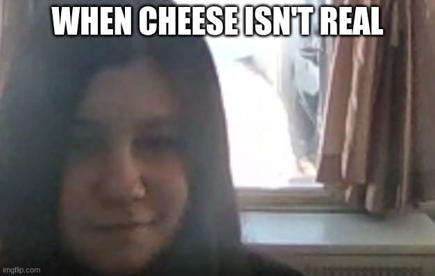 When Cheese isn't real | WHEN CHEESE ISN'T REAL | image tagged in funny meme,smirk | made w/ Imgflip meme maker