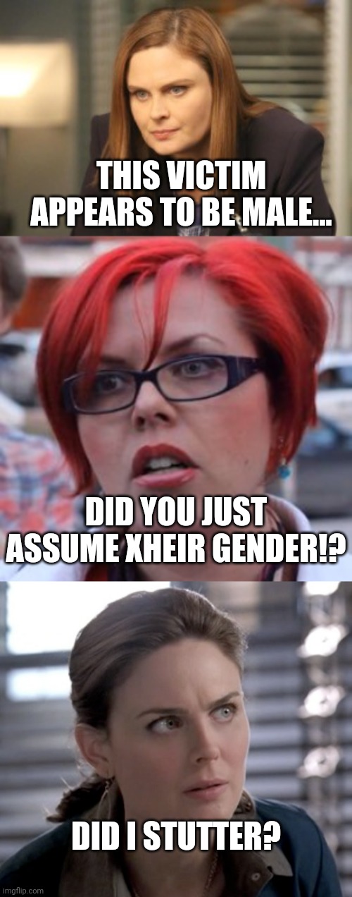 THIS VICTIM APPEARS TO BE MALE... DID I STUTTER? DID YOU JUST ASSUME XHEIR GENDER!? | image tagged in triggered feminist | made w/ Imgflip meme maker