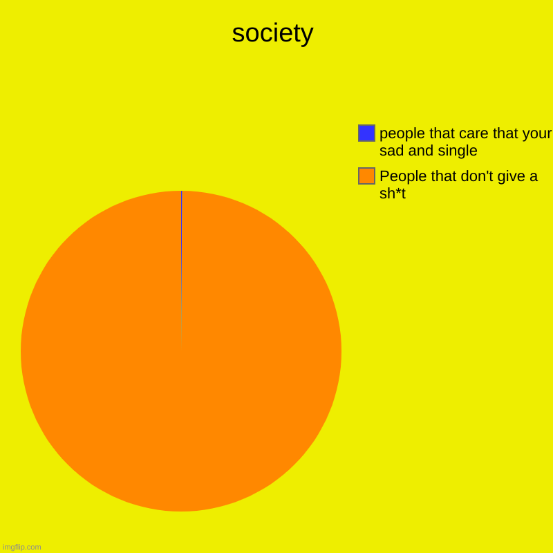 society | People that don't give a sh*t, people that care that your sad and single | image tagged in charts,pie charts | made w/ Imgflip chart maker