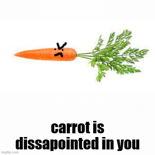 Carrot | carrot is dissapointed in you | image tagged in white backround | made w/ Imgflip meme maker