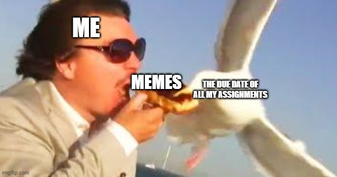 always... | ME; MEMES; THE DUE DATE OF ALL MY ASSIGNMENTS | image tagged in swiping seagull | made w/ Imgflip meme maker