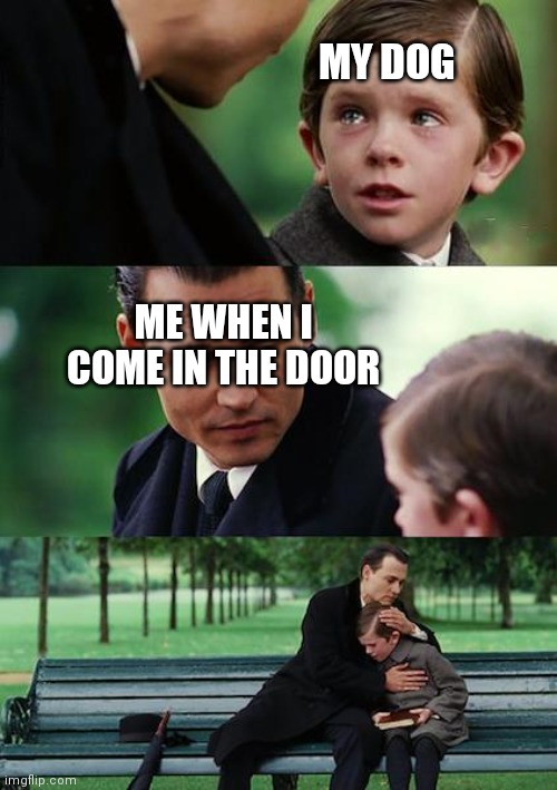 Finding Neverland | MY DOG; ME WHEN I COME IN THE DOOR | image tagged in memes,finding neverland | made w/ Imgflip meme maker