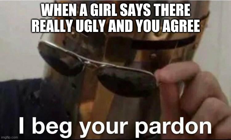 I beg your pardon? | WHEN A GIRL SAYS THERE REALLY UGLY AND YOU AGREE | image tagged in i beg your pardon | made w/ Imgflip meme maker
