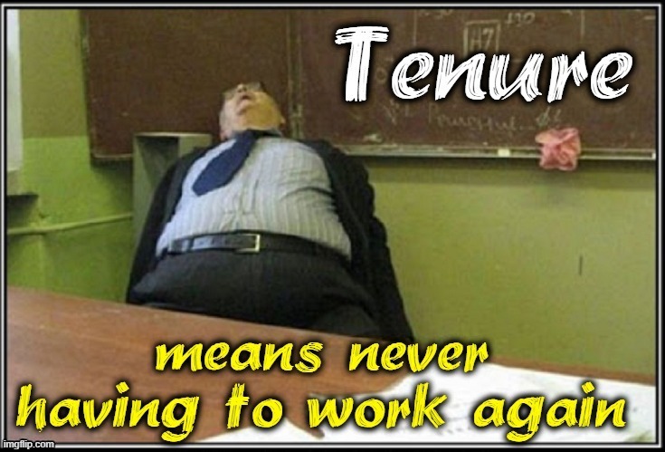 Why Tenure? So Bad Teachers Can't Be Fired | image tagged in vince vance,teachers,bad teachers,memes,tenure,schools | made w/ Imgflip meme maker