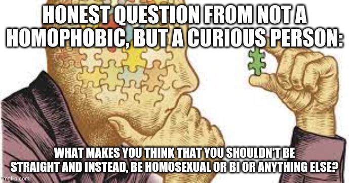 I grew up being straight and I don't plan on changing, but I have lgbtq friends and I was always curios | HONEST QUESTION FROM NOT A HOMOPHOBIC, BUT A CURIOUS PERSON:; WHAT MAKES YOU THINK THAT YOU SHOULDN'T BE STRAIGHT AND INSTEAD, BE HOMOSEXUAL OR BI OR ANYTHING ELSE? | image tagged in lgbtq,curiosity | made w/ Imgflip meme maker