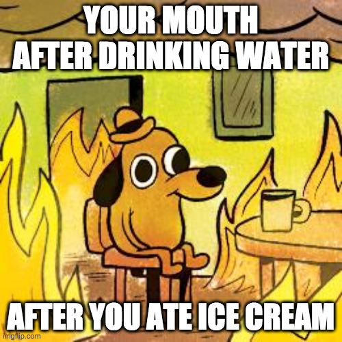 fr tho |  YOUR MOUTH AFTER DRINKING WATER; AFTER YOU ATE ICE CREAM | image tagged in dog in burning house | made w/ Imgflip meme maker
