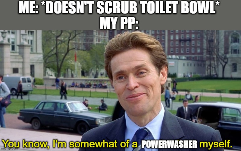 It works | ME: *DOESN'T SCRUB TOILET BOWL*
MY PP:; You know, I'm somewhat of a    scientist    myself. POWERWASHER | image tagged in you know i'm something of a scientist myself,male,guy,boys,pee,bathroom humor | made w/ Imgflip meme maker