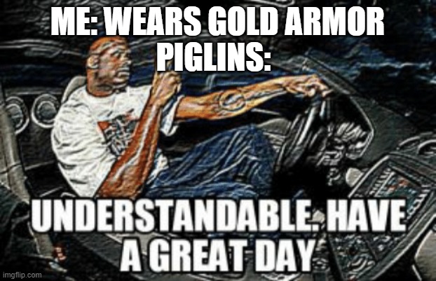 Gold armor: I'm finally, useful | ME: WEARS GOLD ARMOR; PIGLINS: | image tagged in understandable have a great day,memes,minecraft,gold,armour,oh wow are you actually reading these tags | made w/ Imgflip meme maker