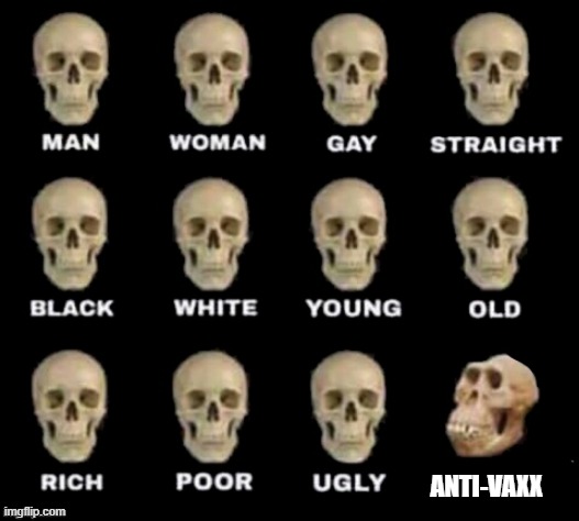 idiot skull | ANTI-VAXX | image tagged in idiot skull | made w/ Imgflip meme maker