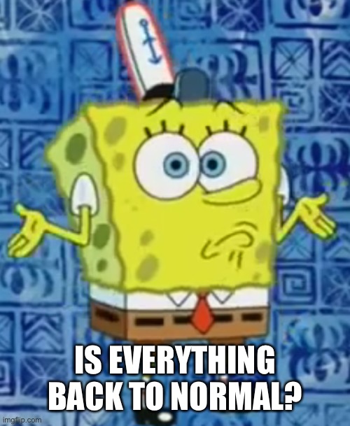 SpongeBob shrug | IS EVERYTHING BACK TO NORMAL? | image tagged in spongebob shrug | made w/ Imgflip meme maker