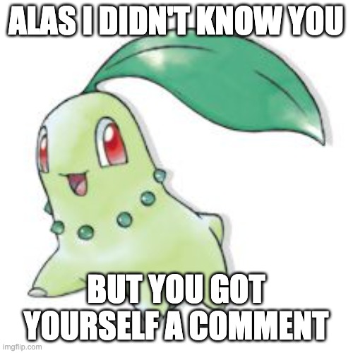 Chikorita | ALAS I DIDN'T KNOW YOU BUT YOU GOT YOURSELF A COMMENT | image tagged in chikorita | made w/ Imgflip meme maker