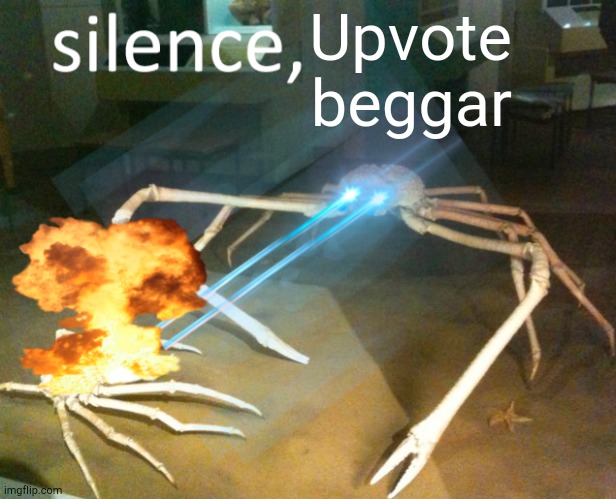 Silence, Upvote Beggar | Upvote beggar | image tagged in silence crab | made w/ Imgflip meme maker