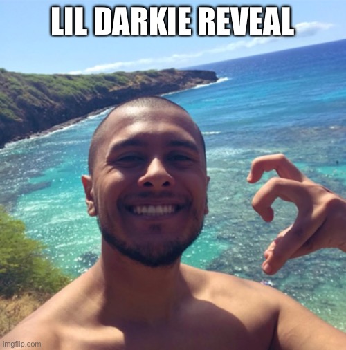 do you think the name “Lil Darkie” is racist? | LIL DARKIE REVEAL | image tagged in hmm | made w/ Imgflip meme maker