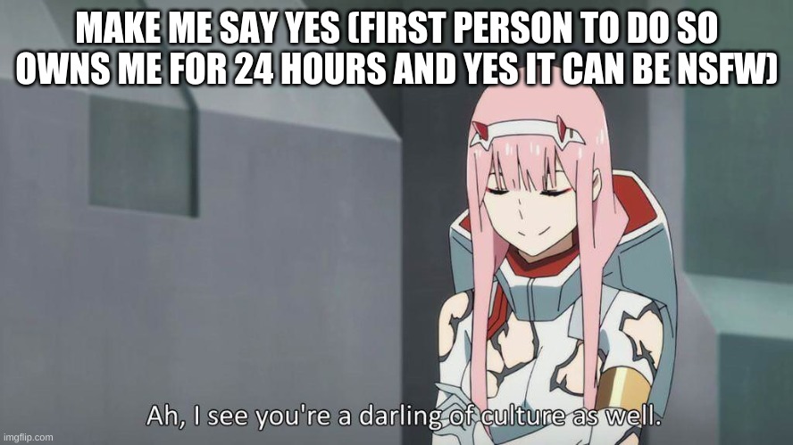 I see you're a darling of culture as well | MAKE ME SAY YES (FIRST PERSON TO DO SO OWNS ME FOR 24 HOURS AND YES IT CAN BE NSFW) | image tagged in i see you're a darling of culture as well | made w/ Imgflip meme maker