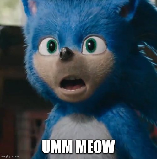 Sonic Movie | UMM MEOW | image tagged in sonic movie | made w/ Imgflip meme maker