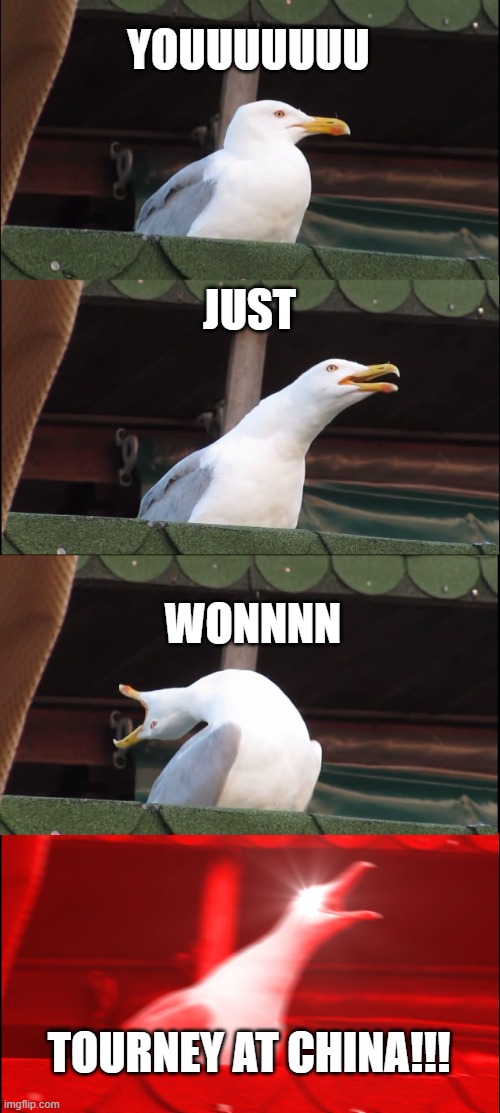 Inhaling Seagull | YOUUUUUUU; JUST; WONNNN; TOURNEY AT CHINA!!! | image tagged in memes,inhaling seagull | made w/ Imgflip meme maker