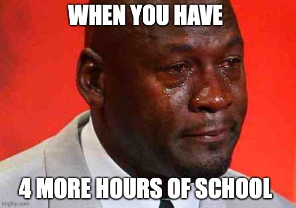 :( | WHEN YOU HAVE; 4 MORE HOURS OF SCHOOL | image tagged in crying michael jordan | made w/ Imgflip meme maker