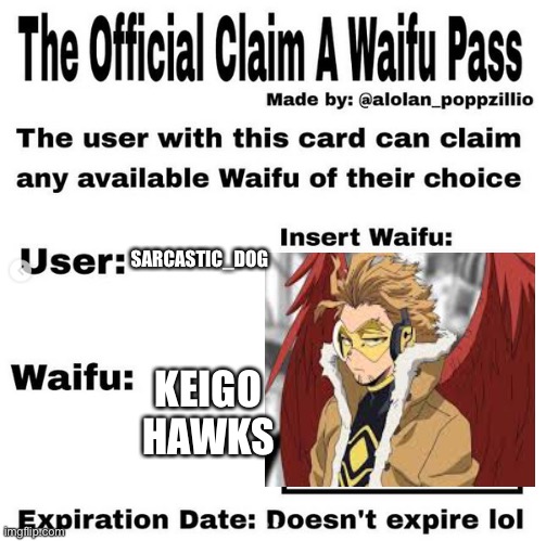 Many things are wrong with me- | SARCASTIC_DOG; KEIGO HAWKS | image tagged in official claim a waifu pass | made w/ Imgflip meme maker