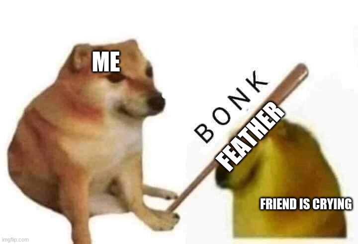 DOGE | ME; FEATHER; FRIEND IS CRYING | image tagged in doge bonk | made w/ Imgflip meme maker