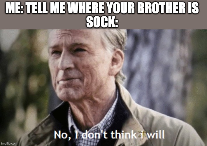 When you can't find a matching sock | ME: TELL ME WHERE YOUR BROTHER IS 
SOCK: | image tagged in no i dont think i will,laundry,socks | made w/ Imgflip meme maker