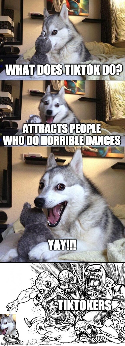 Even dogs think tiktok sux | WHAT DOES TIKTOK DO? ATTRACTS PEOPLE WHO DO HORRIBLE DANCES; YAY!!! TIKTOKERS | image tagged in memes,bad pun dog,hey internet,tiktok sucks,tiktok,cute dog | made w/ Imgflip meme maker