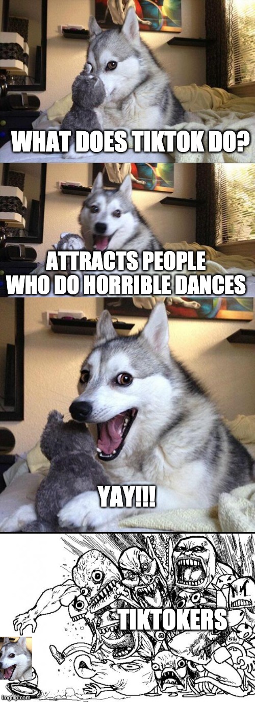 Even dogs think tiktok sucks |  WHAT DOES TIKTOK DO? ATTRACTS PEOPLE WHO DO HORRIBLE DANCES; YAY!!! TIKTOKERS | image tagged in memes,bad pun dog,hey internet | made w/ Imgflip meme maker