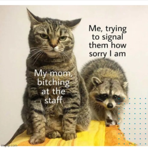 moms | image tagged in funny | made w/ Imgflip meme maker