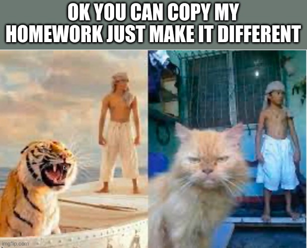OK YOU CAN COPY MY HOMEWORK JUST MAKE IT DIFFERENT | image tagged in hey can i copy your homework,ok,but,make,it,different | made w/ Imgflip meme maker