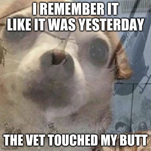 THE VET FLASHBACK | I REMEMBER IT LIKE IT WAS YESTERDAY; THE VET TOUCHED MY BUTT | image tagged in vietnam dog flashbacks | made w/ Imgflip meme maker